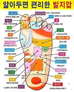 발지압, 지압지도, 발지도