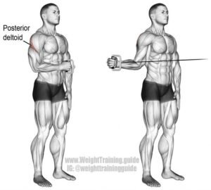 external rotation